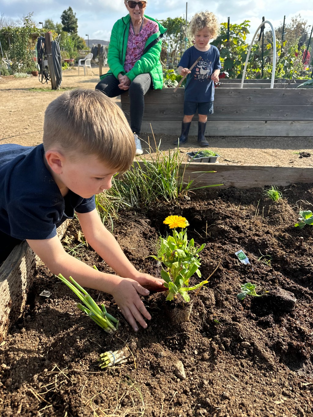 Kitchen Garden Homeschool Curriculum: Garden Books, Garden Activities, and Garden Crafts for&nbsp;Kids