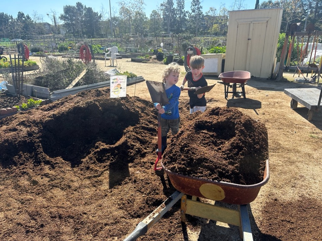 Planting and Caring for Your Kitchen Garden - Compost