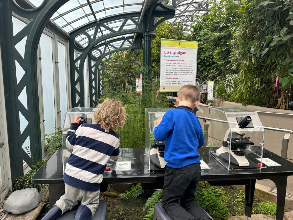 Huntington Library - Conservatory Microscopes