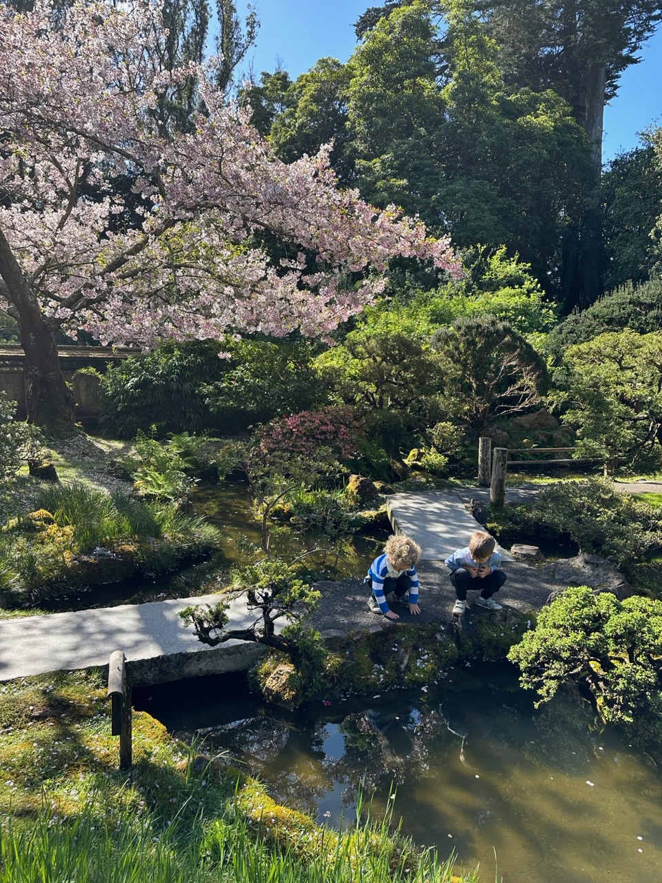 How to Visit the Japanese Tea Garden in San Francisco for&nbsp;Free