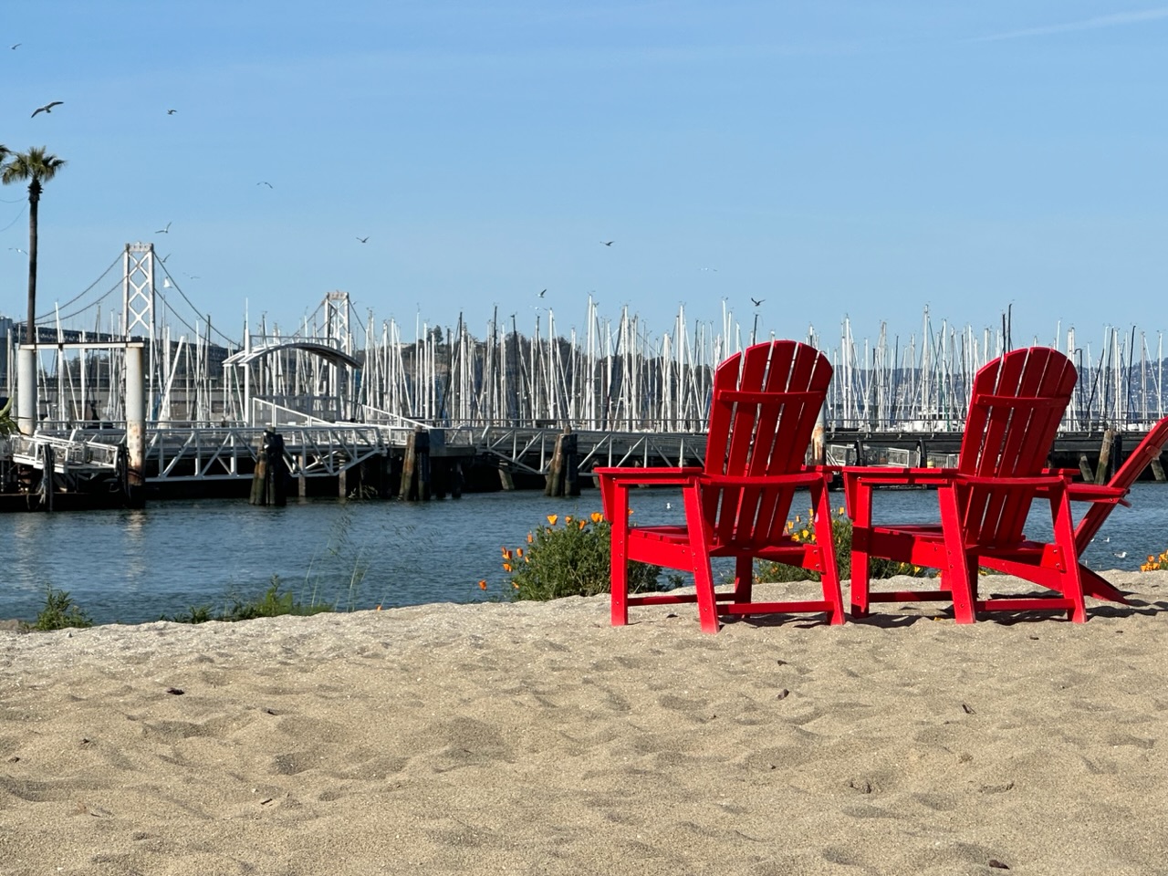 Adirondack Chairs in China Basin Park 