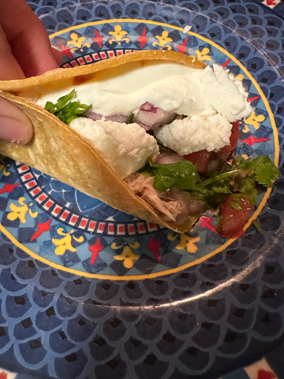 Shredded Chicken Taco