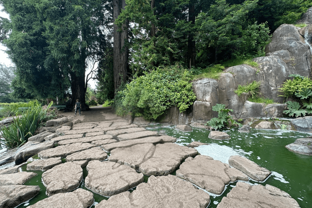 Blue Heron Lake and Strawberry Hill in San Francisco