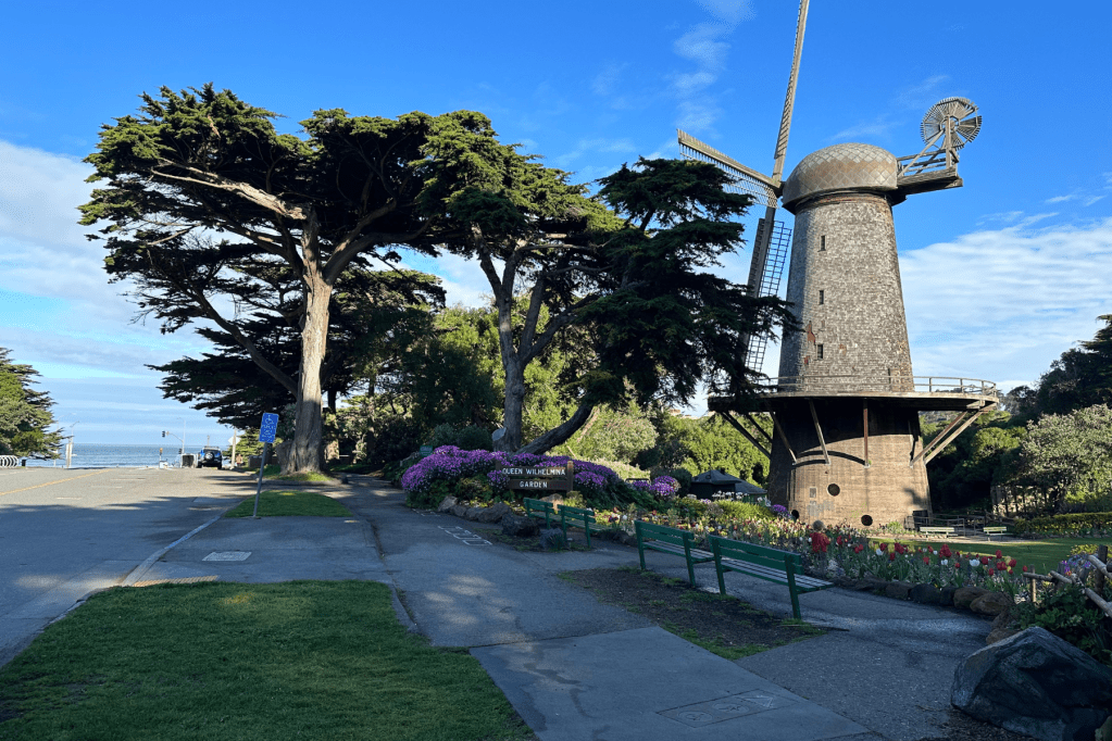 10 Free Things to Do at Golden Gate Park with Kids