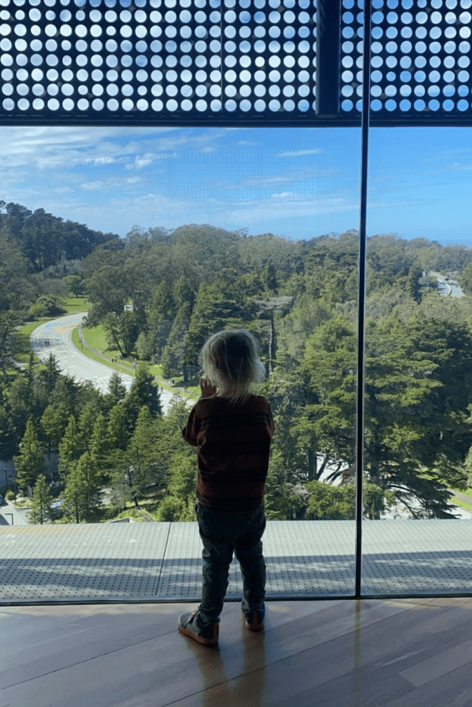 Hamon Observation Tour inside the de Young