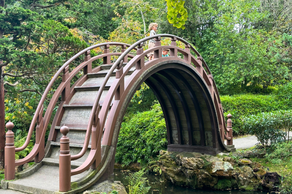 9 Things to Do at the Japanese Tea Garden in San Francisco