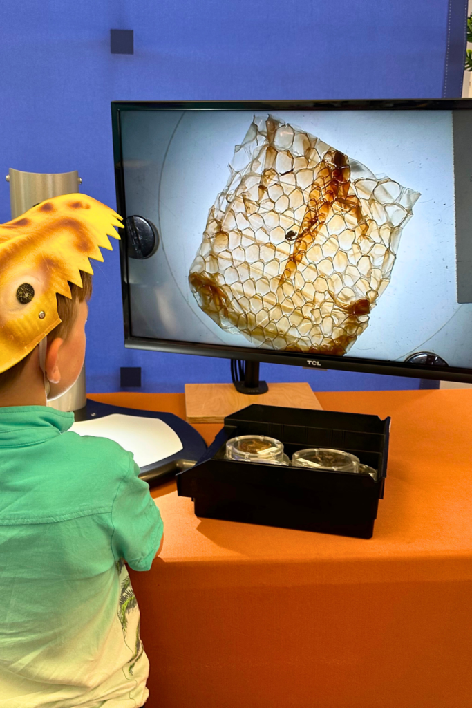 SF Gift Experience Lawrence Hall of Sciences