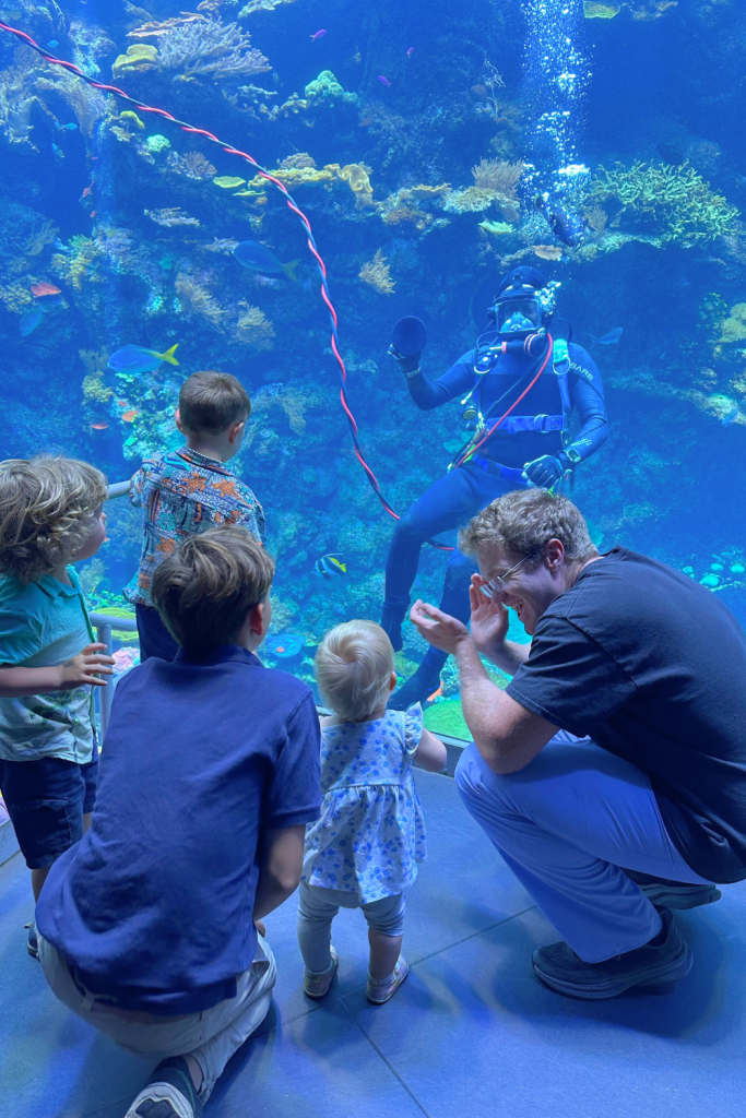 SF Gift Experience Cal Academy of Science