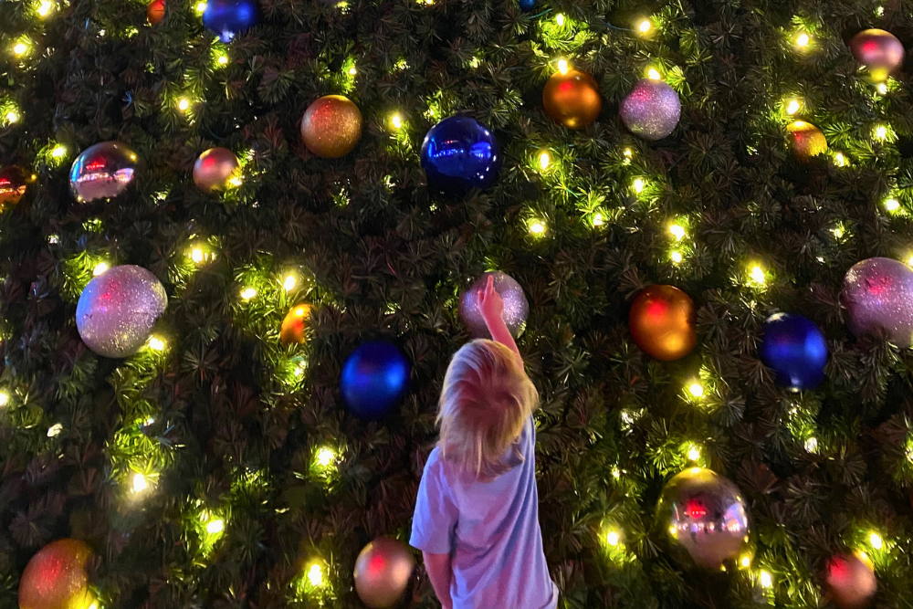 San Francisco Christmas Lights