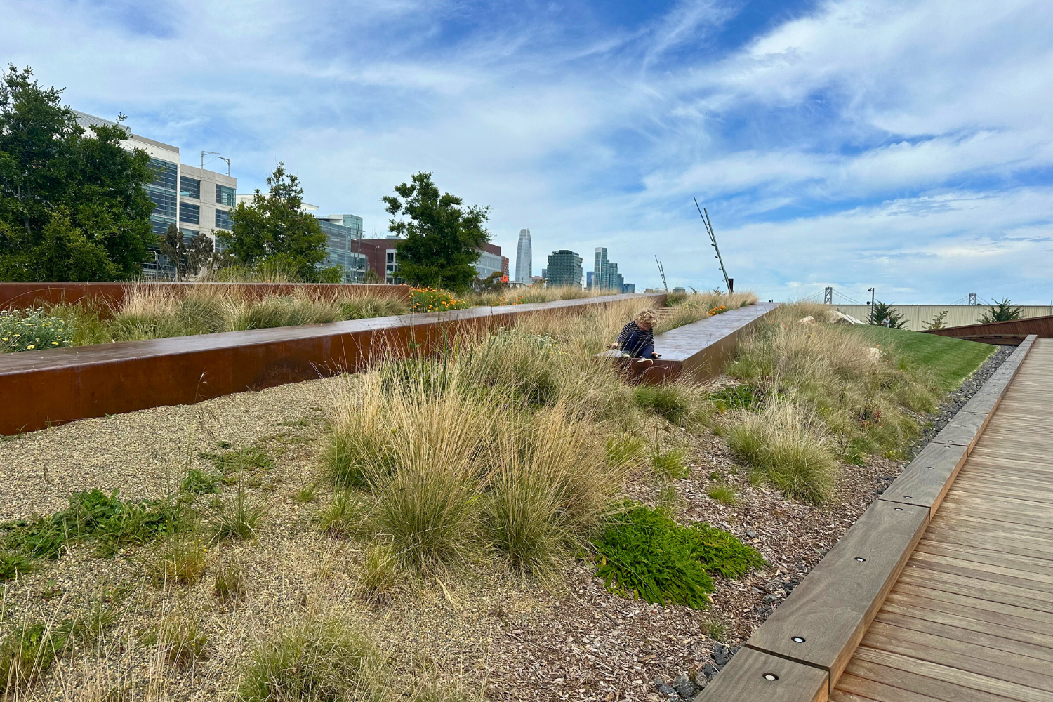 Bayfront Park - Mission Bay